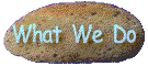 What We Do